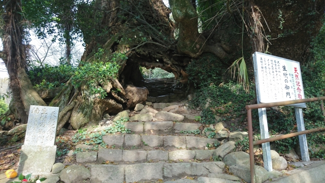 生樹の御門 大山祇神社奥の院